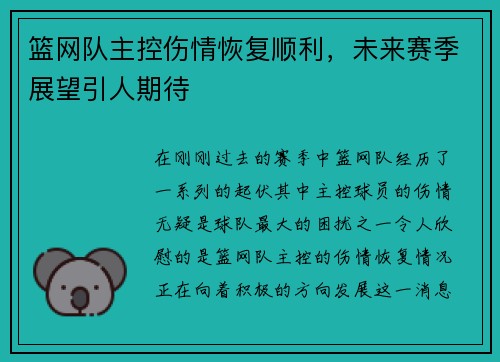 篮网队主控伤情恢复顺利，未来赛季展望引人期待
